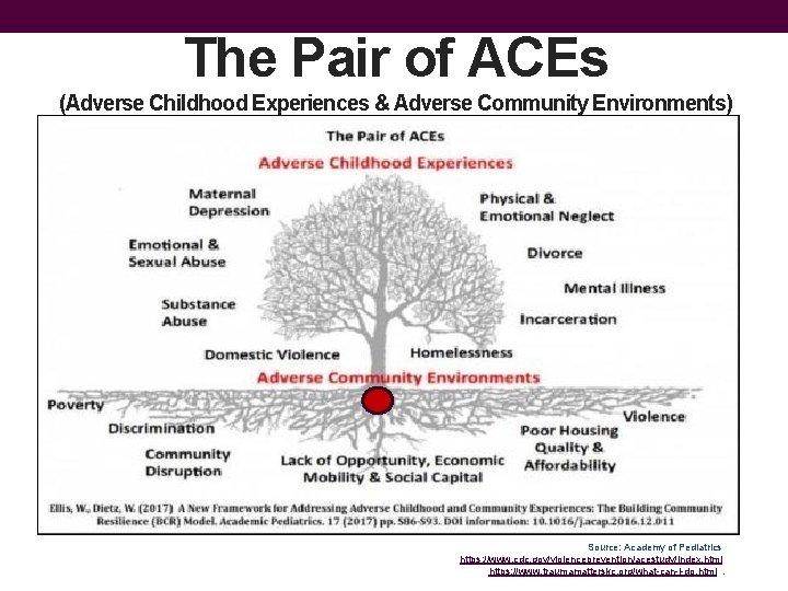 The Pair of ACEs (Adverse Childhood Experiences & Adverse Community Environments) Source: Academy of