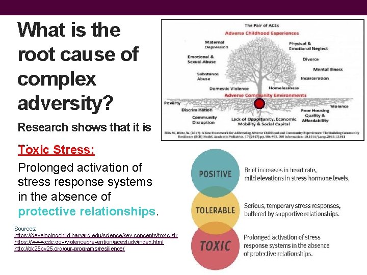 What is the root cause of complex adversity? Research shows that it is …