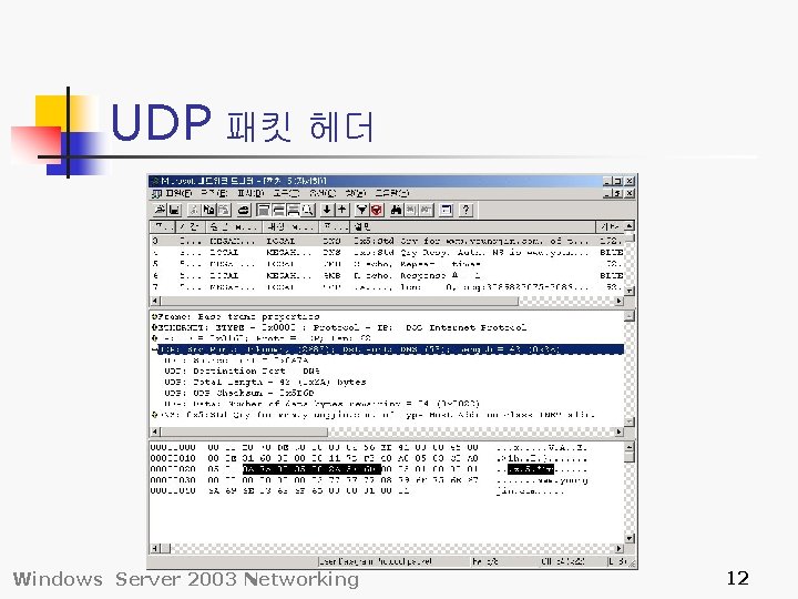 UDP 패킷 헤더 Windows Server 2003 Networking 12 
