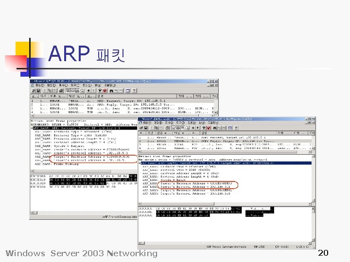 ARP 패킷 Windows Server 2003 Networking 20 