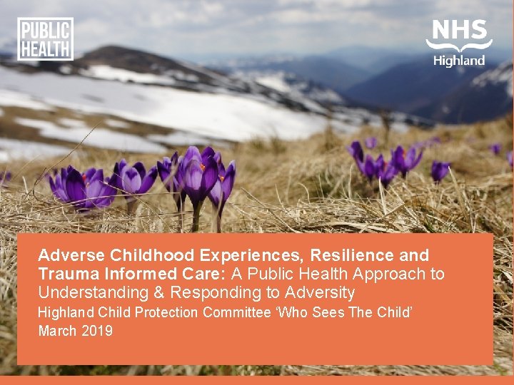 Adverse Childhood Experiences, Resilience and Trauma Informed Care: A Public Health Approach to Understanding