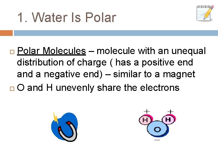 1. Water Is Polar Molecules – molecule with an unequal distribution of charge (