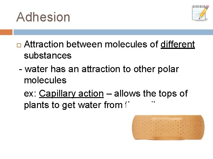 Adhesion Attraction between molecules of different substances - water has an attraction to other