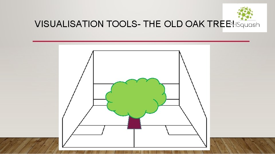 VISUALISATION TOOLS- THE OLD OAK TREE! 