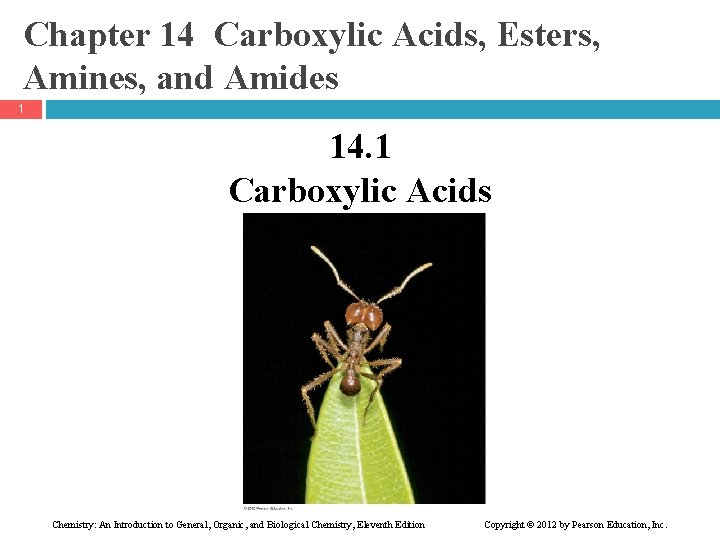 Chapter 14 Carboxylic Acids, Esters, Amines, and Amides 1 14. 1 Carboxylic Acids Chemistry: