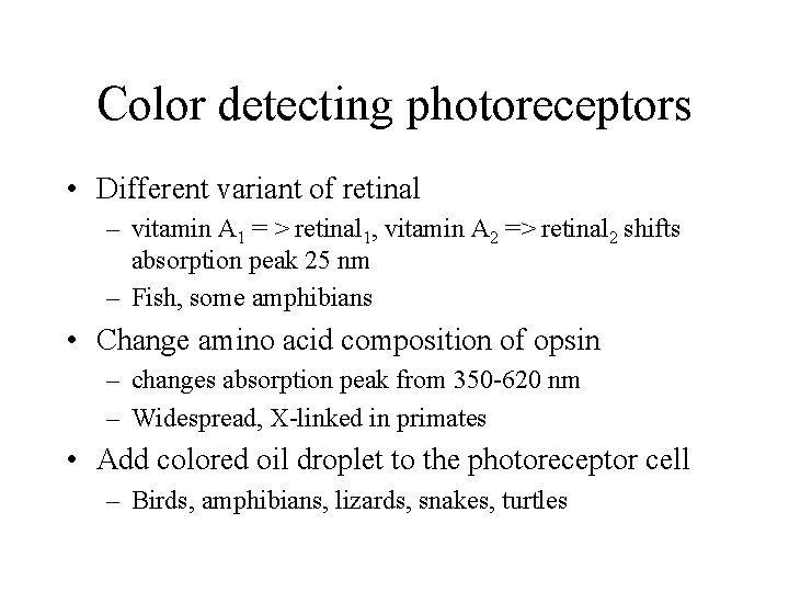 Color detecting photoreceptors • Different variant of retinal – vitamin A 1 = >