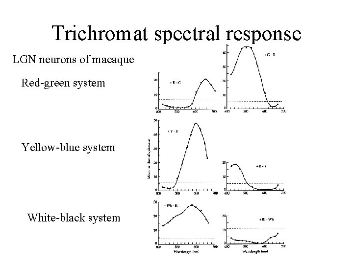 Trichromat spectral response LGN neurons of macaque Red-green system Yellow-blue system White-black system 