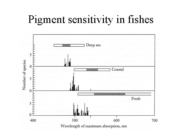 Pigment sensitivity in fishes 