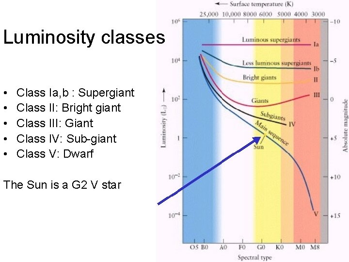 Luminosity classes • • • Class Ia, b : Supergiant Class II: Bright giant