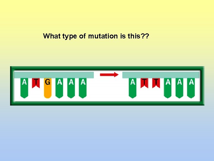 What type of mutation is this? ? 