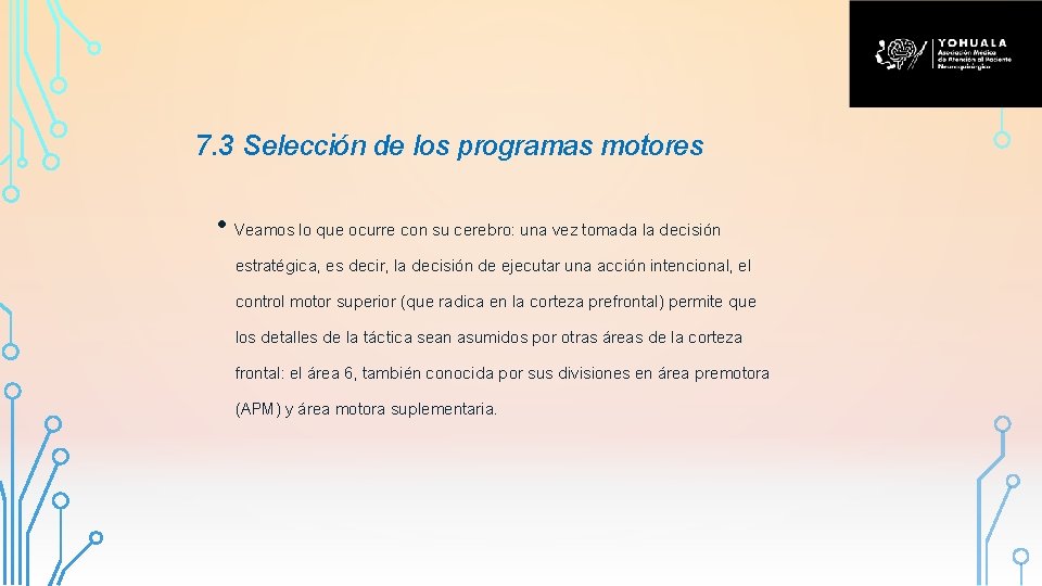 7. 3 Selección de los programas motores • Veamos lo que ocurre con su