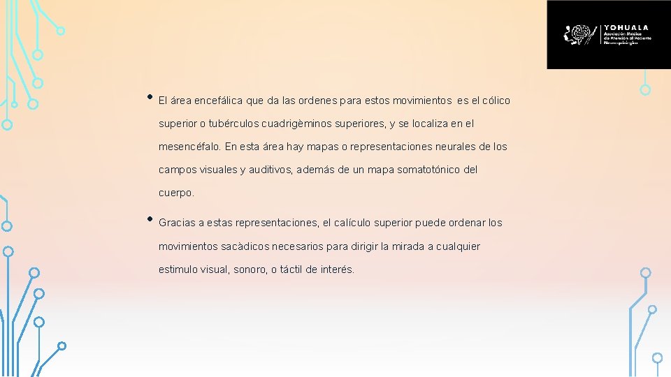  • El área encefálica que da las ordenes para estos movimientos es el