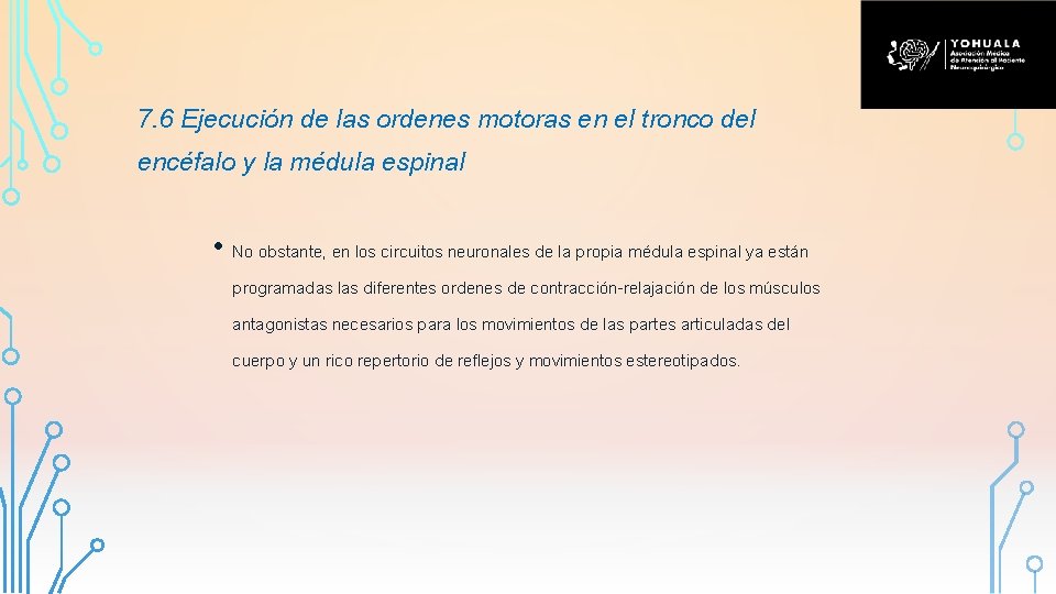 7. 6 Ejecución de las ordenes motoras en el tronco del encéfalo y la