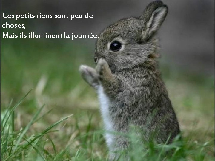 Ces petits riens sont peu de choses, Mais illuminent la journée. 