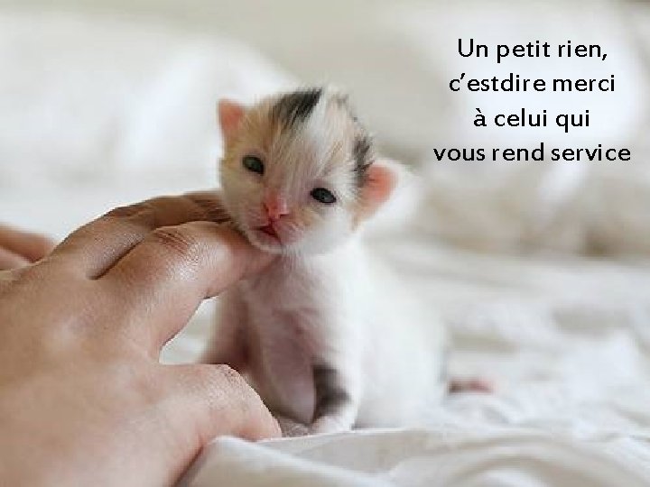 Un petit rien, c’estdire merci à celui qui vous rend service 