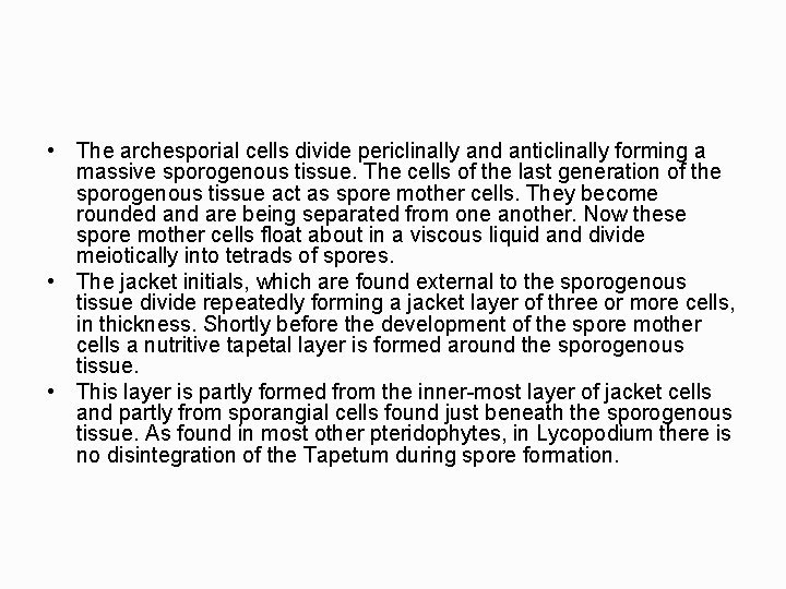  • The archesporial cells divide periclinally and anticlinally forming a massive sporogenous tissue.