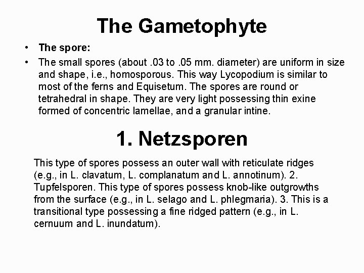 The Gametophyte • The spore: • The small spores (about. 03 to. 05 mm.