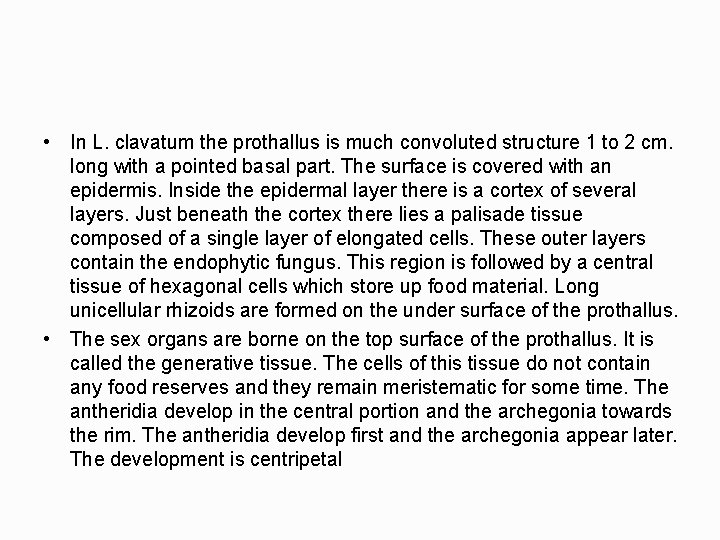  • In L. clavatum the prothallus is much convoluted structure 1 to 2