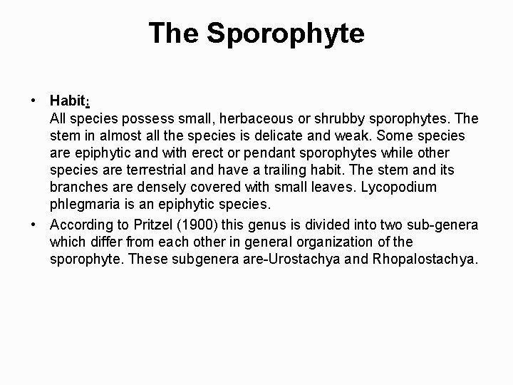 The Sporophyte • Habit: All species possess small, herbaceous or shrubby sporophytes. The stem