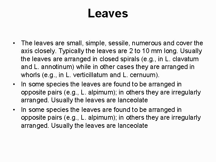 Leaves • The leaves are small, simple, sessile, numerous and cover the axis closely.
