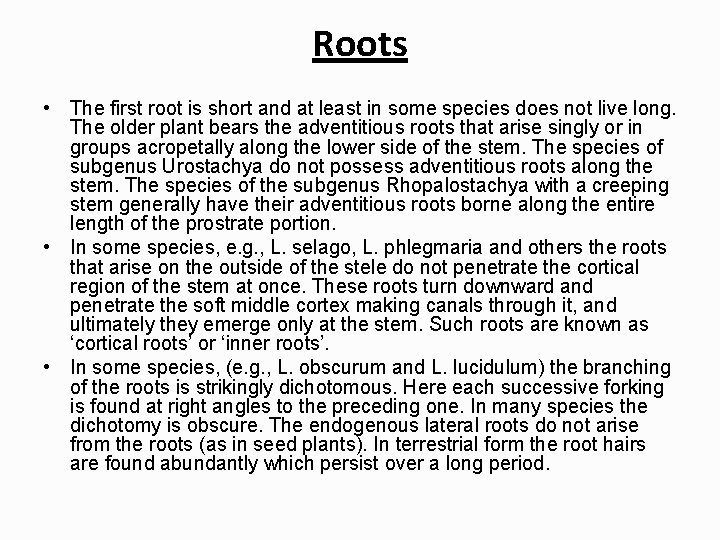 Roots • The first root is short and at least in some species does