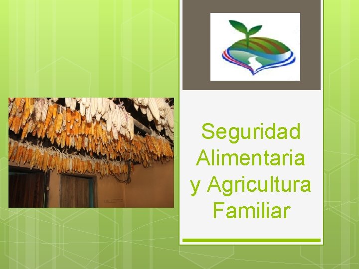 Seguridad Alimentaria y Agricultura Familiar 