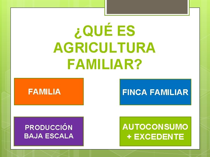 ¿QUÉ ES AGRICULTURA FAMILIAR? FAMILIA PRODUCCIÓN BAJA ESCALA FINCA FAMILIAR AUTOCONSUMO + EXCEDENTE 