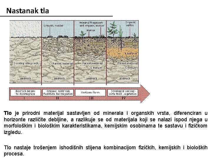 Nastanak tla Tlo je prirodni materijal sastavljen od minerala i organskih vrsta, diferenciran u