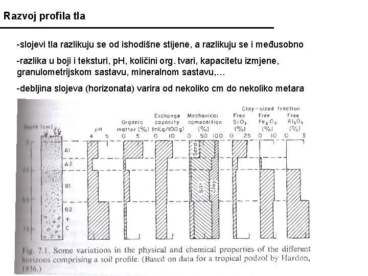 Razvoj profila tla -slojevi tla razlikuju se od ishodišne stijene, a razlikuju se i