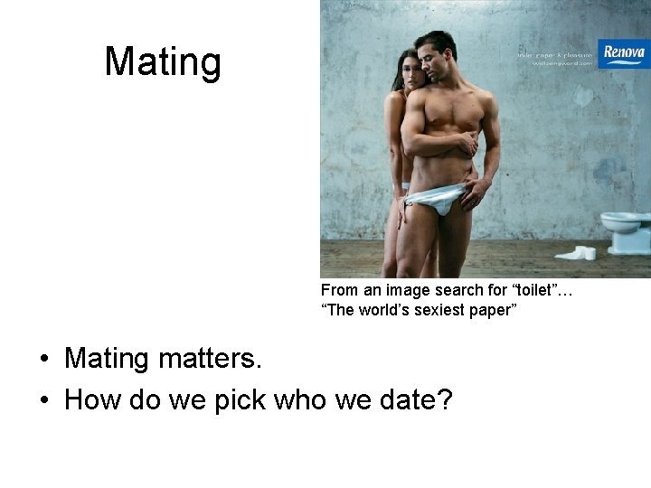 Mating From an image search for “toilet”… “The world’s sexiest paper” • Mating matters.