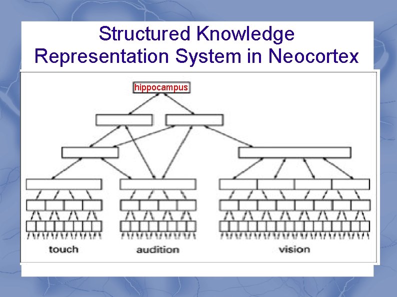 Structured Knowledge Representation System in Neocortex hippocampus 
