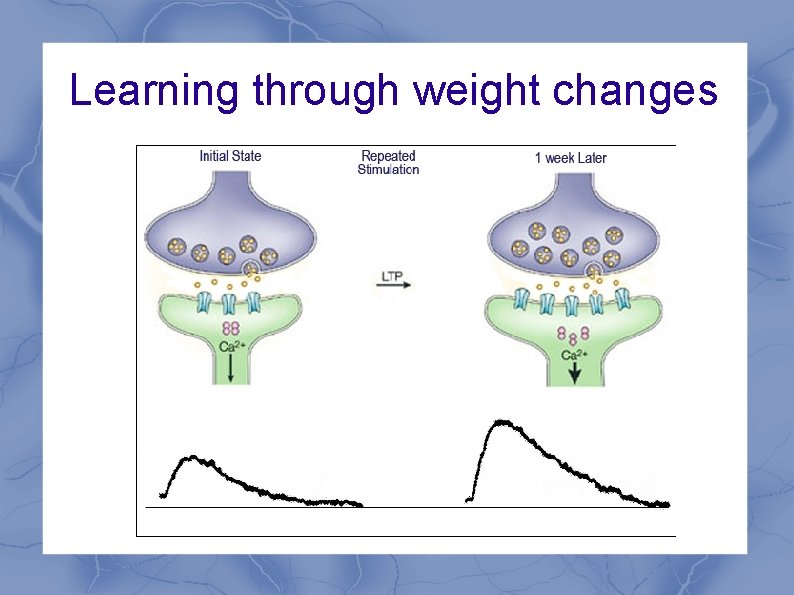 Learning through weight changes 