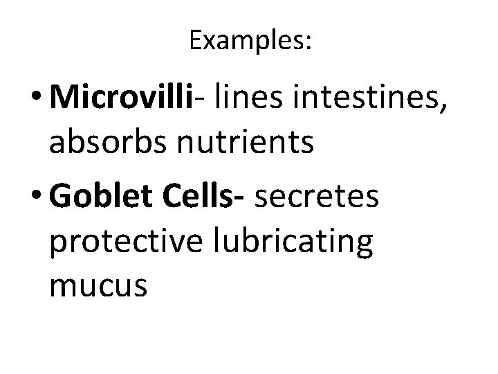 Examples: • Microvilli- lines intestines, absorbs nutrients • Goblet Cells- secretes protective lubricating mucus