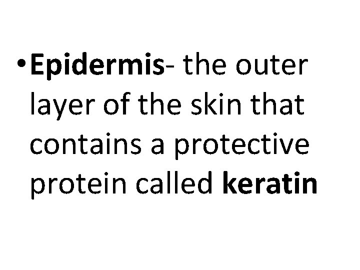  • Epidermis- the outer layer of the skin that contains a protective protein