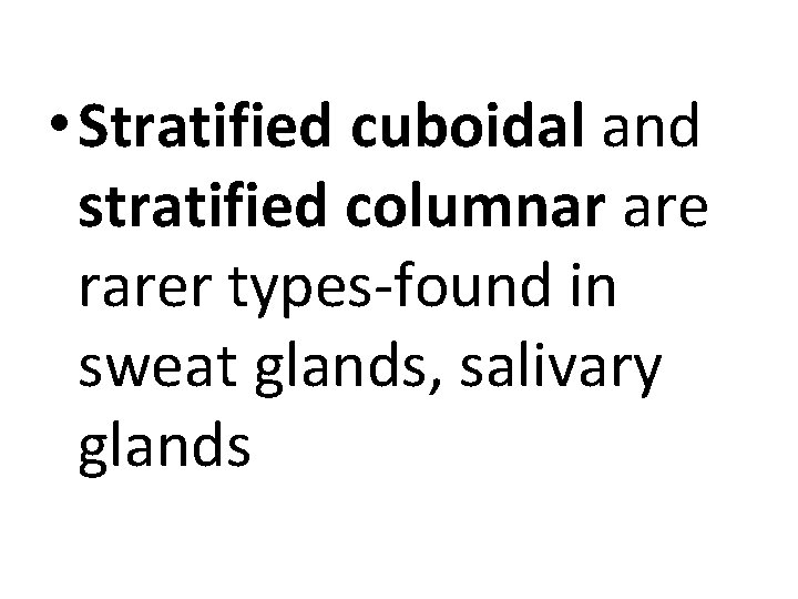  • Stratified cuboidal and stratified columnar are rarer types-found in sweat glands, salivary