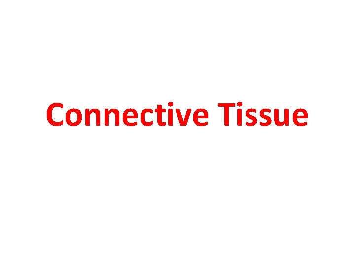 Connective Tissue 