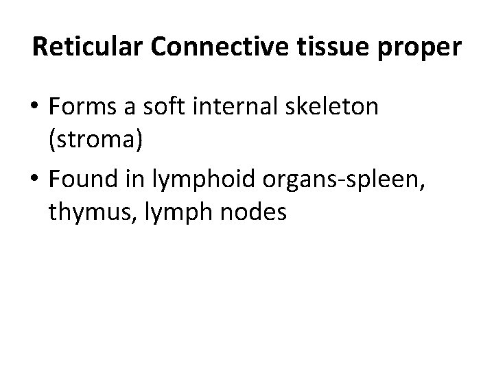 Reticular Connective tissue proper • Forms a soft internal skeleton (stroma) • Found in