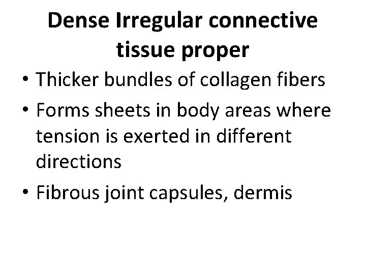 Dense Irregular connective tissue proper • Thicker bundles of collagen fibers • Forms sheets