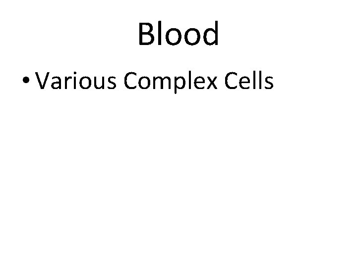 Blood • Various Complex Cells 