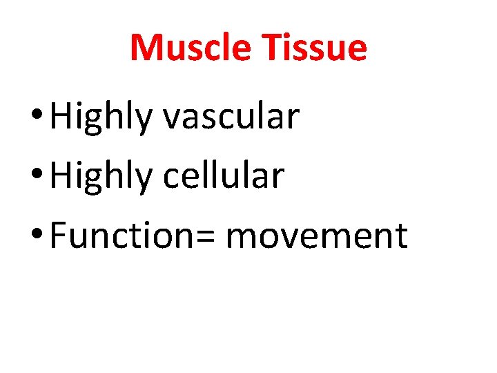 Muscle Tissue • Highly vascular • Highly cellular • Function= movement 