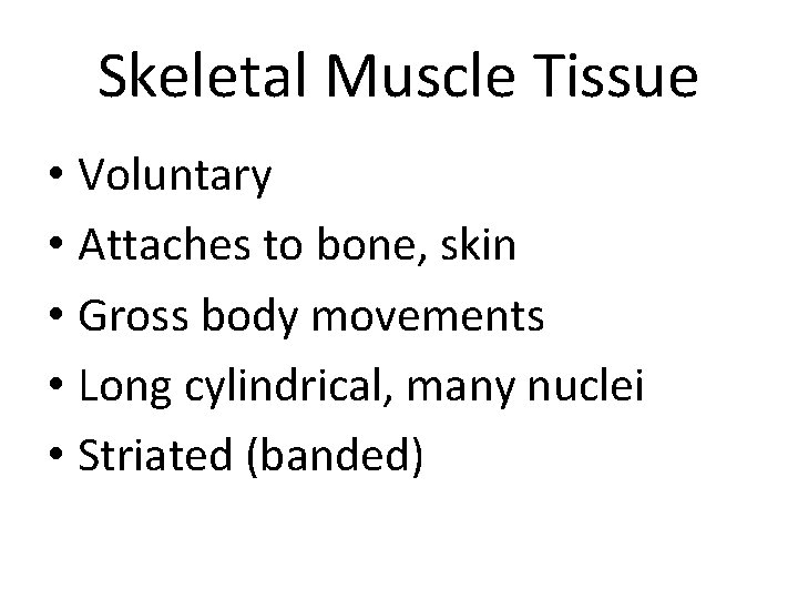 Skeletal Muscle Tissue • Voluntary • Attaches to bone, skin • Gross body movements