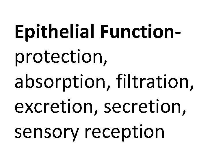 Epithelial Functionprotection, absorption, filtration, excretion, sensory reception 