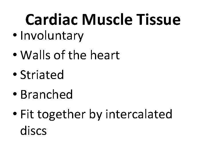 Cardiac Muscle Tissue • Involuntary • Walls of the heart • Striated • Branched