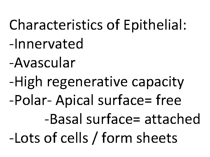 Characteristics of Epithelial: -Innervated -Avascular -High regenerative capacity -Polar- Apical surface= free -Basal surface=