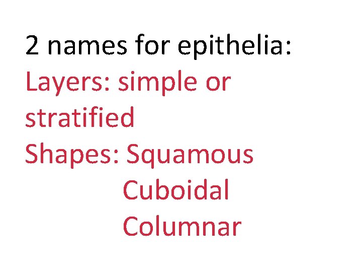 2 names for epithelia: Layers: simple or stratified Shapes: Squamous Cuboidal Columnar 