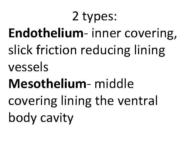 2 types: Endothelium- inner covering, slick friction reducing lining vessels Mesothelium- middle covering lining