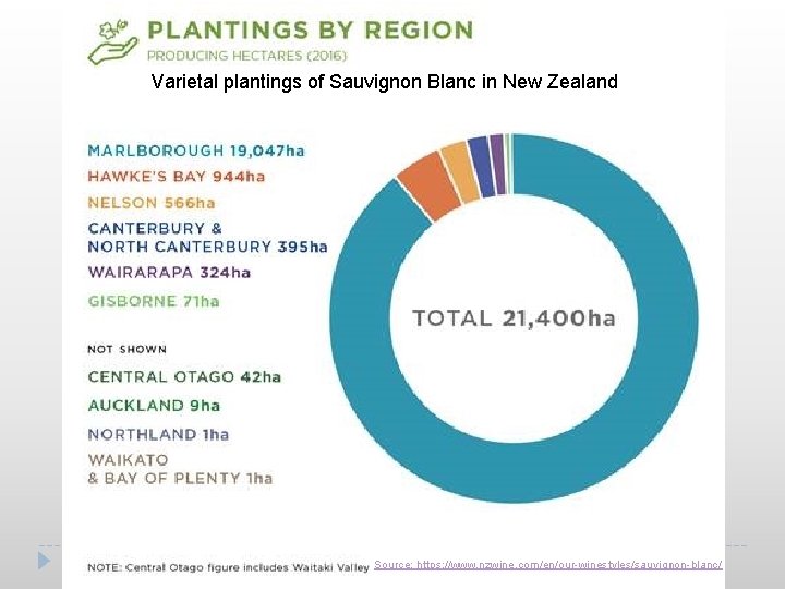 Varietal plantings of Sauvignon Blanc in New Zealand Source: https: //www. nzwine. com/en/our-winestyles/sauvignon-blanc/ 