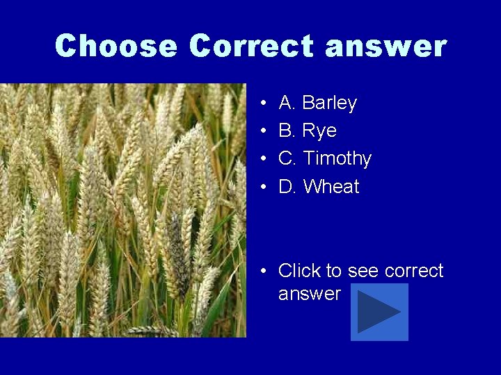 Choose Correct answer • • A. Barley B. Rye C. Timothy D. Wheat •