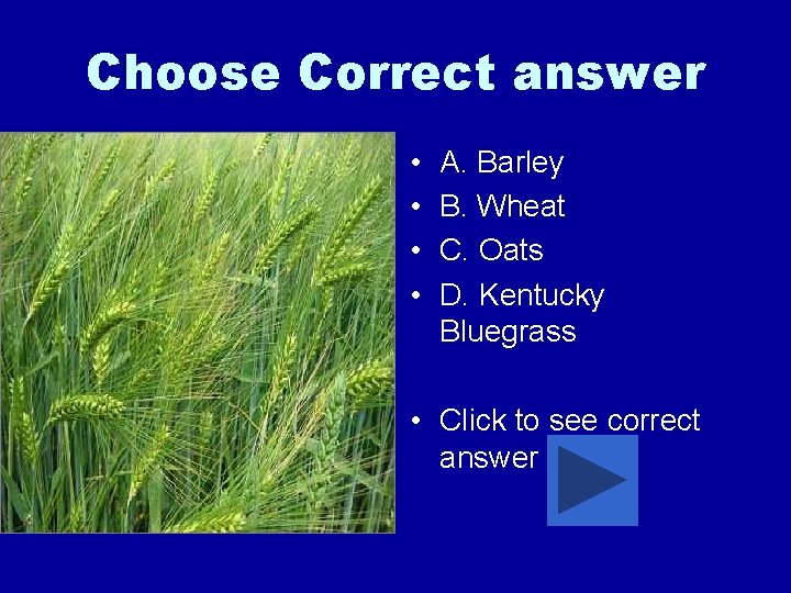 Choose Correct answer • • A. Barley B. Wheat C. Oats D. Kentucky Bluegrass