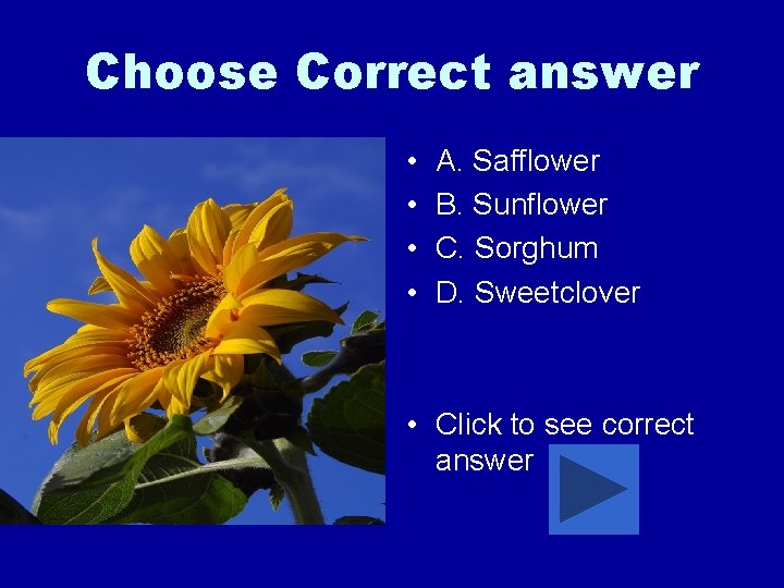 Choose Correct answer • • A. Safflower B. Sunflower C. Sorghum D. Sweetclover •